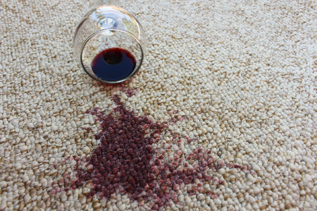 carpet wine spill cleaning auckland big